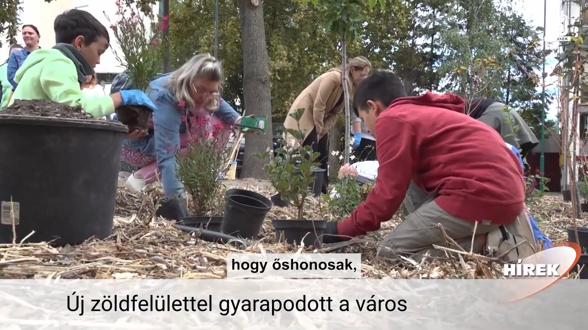 Esőkerteket minden településre!